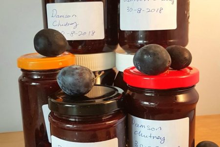 Jars of Damson chutney with damson fruits.