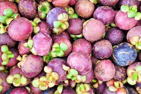 A pile of mangosteen