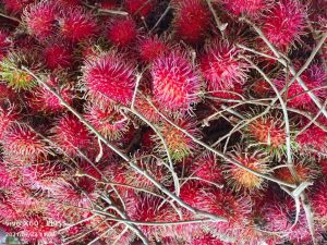 Ripe and Fresh Rambutans