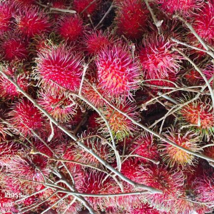 Ripe and Fresh Rambutans