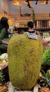 This is a big Jackfruit!