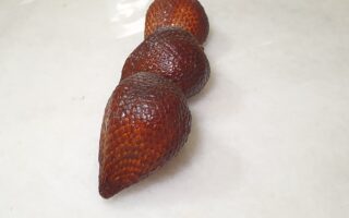 3 pieces of snake skin fruit looking like a snake!